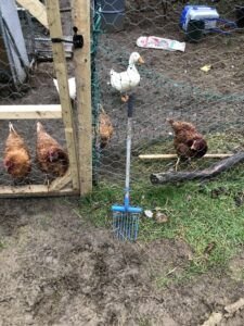 Kids muck fork