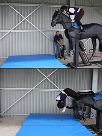 Equichute